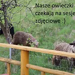 Pod Zielonym Wierchem Ζακοπάνε