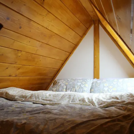 Pod Zielonym Wierchem Zakopane