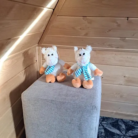 샬레 Pod Zielonym Wierchem