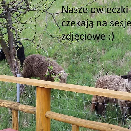Pod Zielonym Wierchem Zakopane